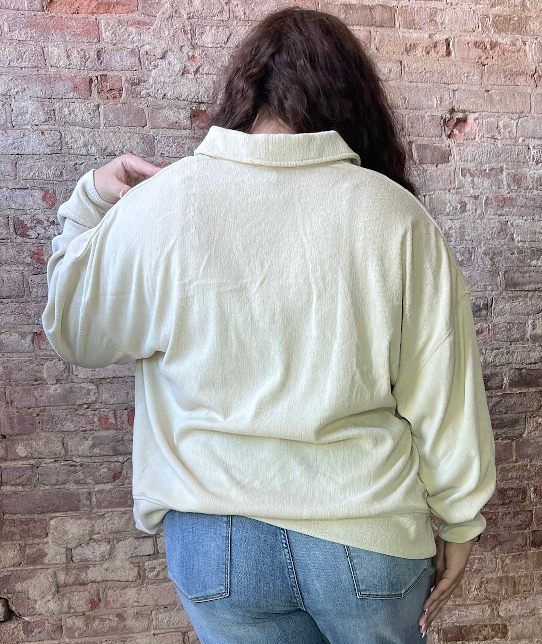 Curvy Long Sleeve Polo Knit Top ~ Mocha