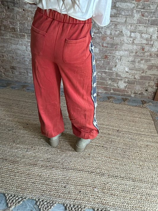 USA Double Pocketed Pants ~ Red